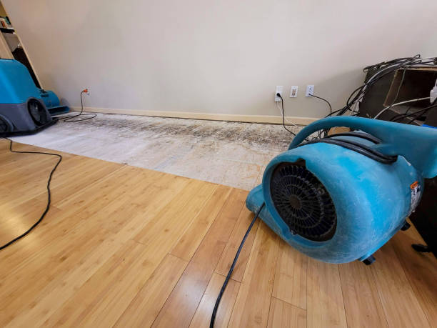 Professional Flood Damage Cleanup technician working in McLean, VA